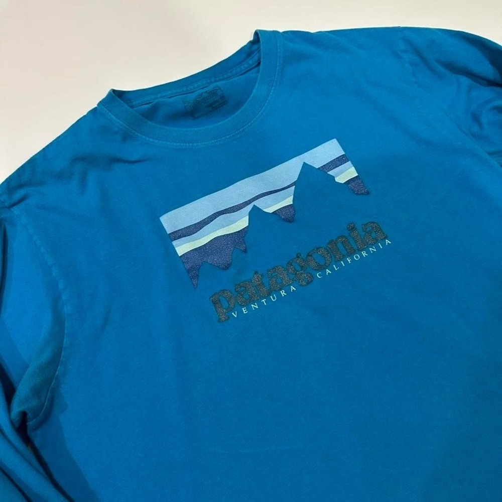 Patagonia Men's Long sleeve Blue Regular Fit Large